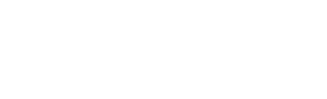 Okun Foundation Logo